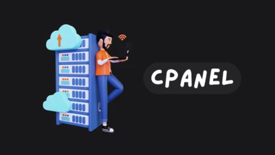 cPanel File Manager Interface