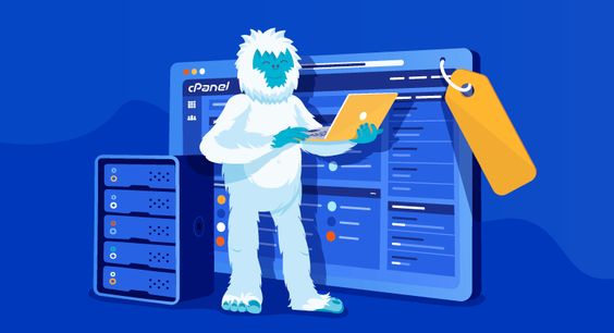 VMware Depolama Ayarları