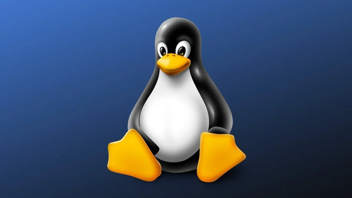 "Linux sistem yönetimi ve izleme araçları"