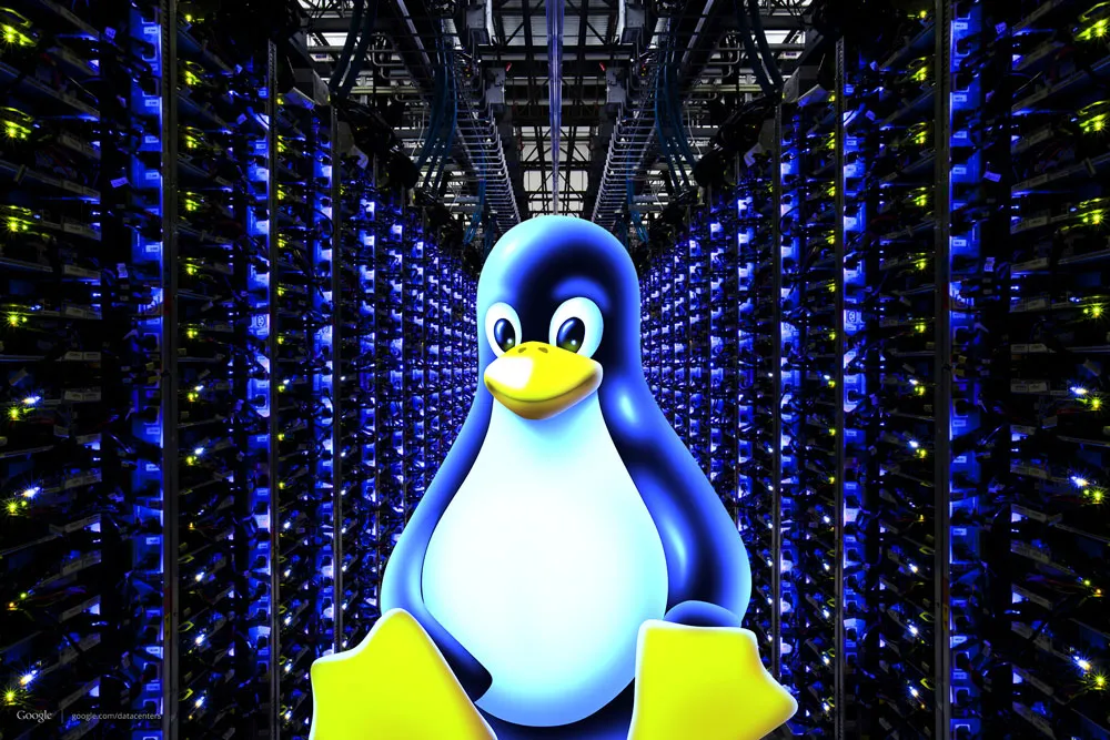 Terminal ve komut satırı ile Bash scripting kullanarak otomasyon yapan bir kullanıcı.