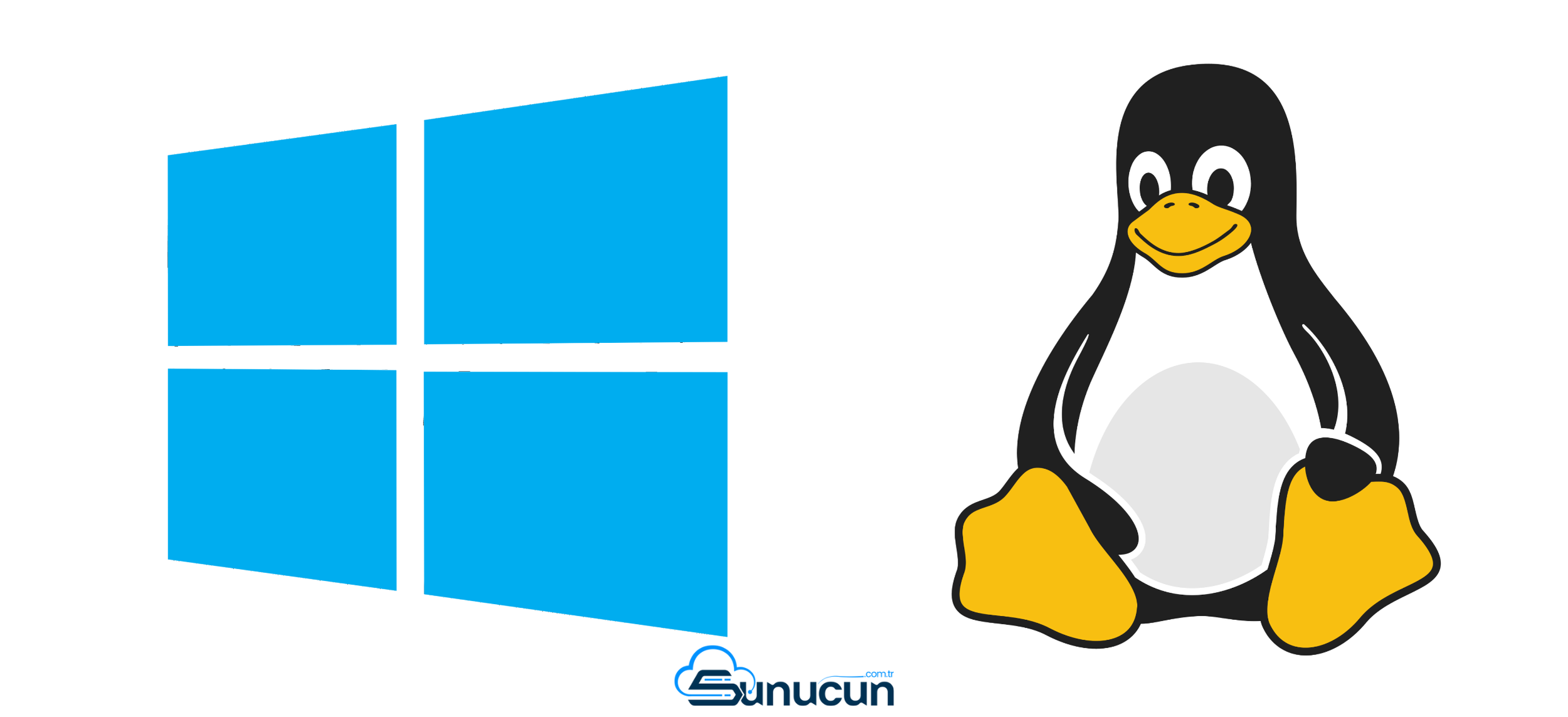 windows linux