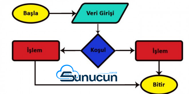 Algoritma Nedir
