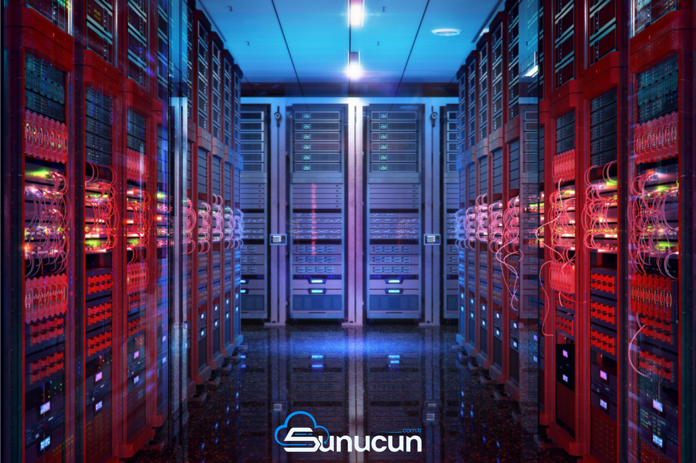 Web Sunucusu web server