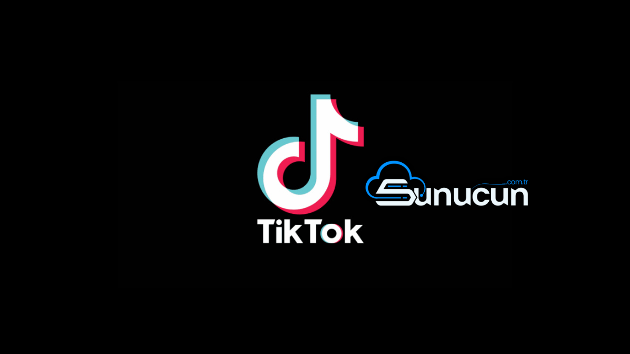 Tiktok Video İndir