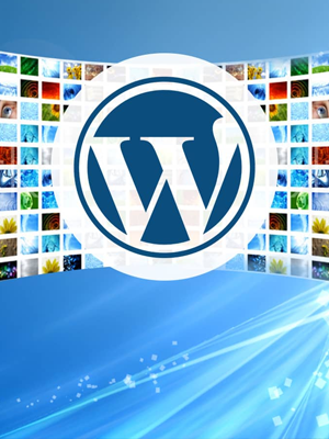 Wordpress